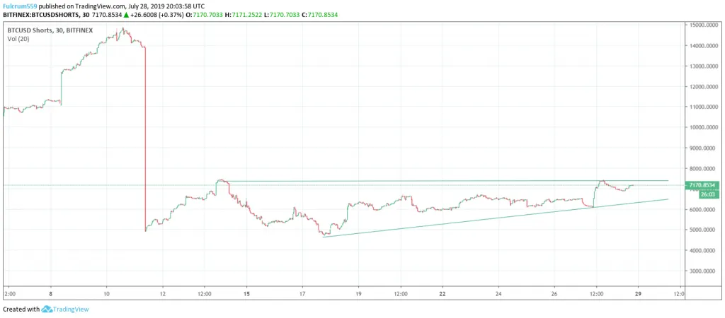 Bitcoin Shorts on Bitfinix