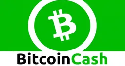 Bitcoin Cash Logo, which is Bitcoin’s largest fork by market cap